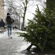 Image for article titled You could always eat your Christmas tree